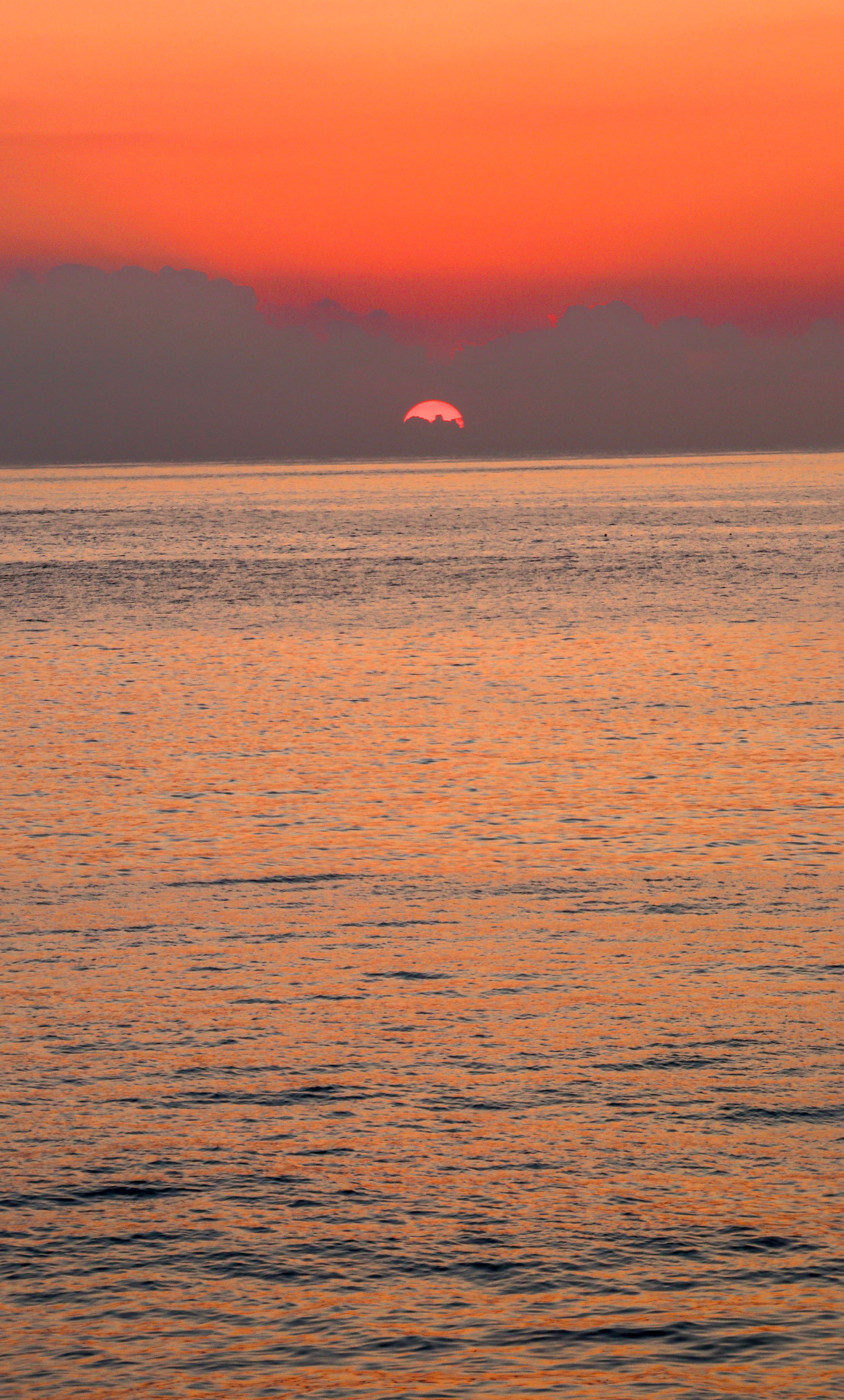 Birds silhouetted against a dramatic sunset over the sea