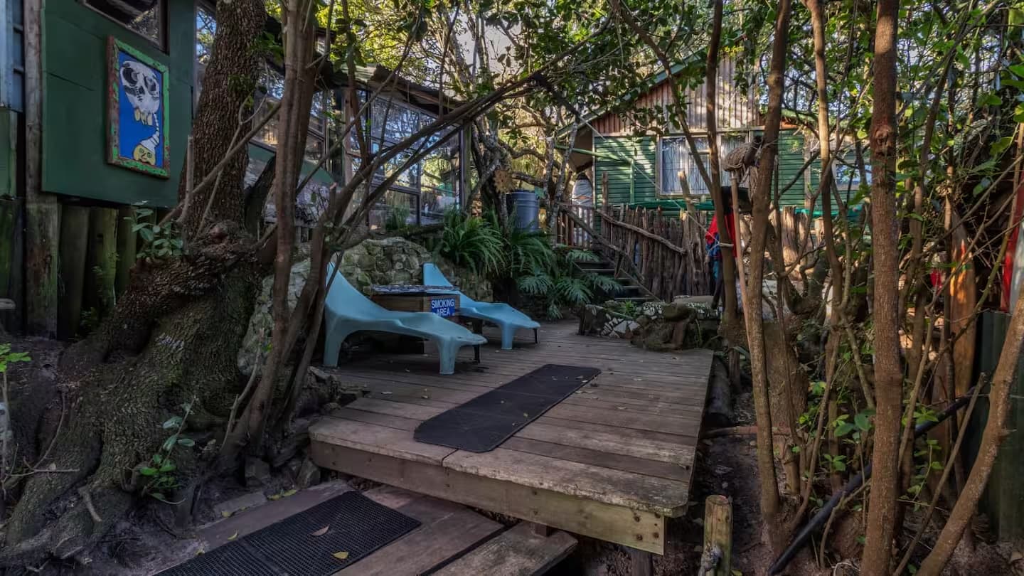 A quiet deck built into the trees around the lodge