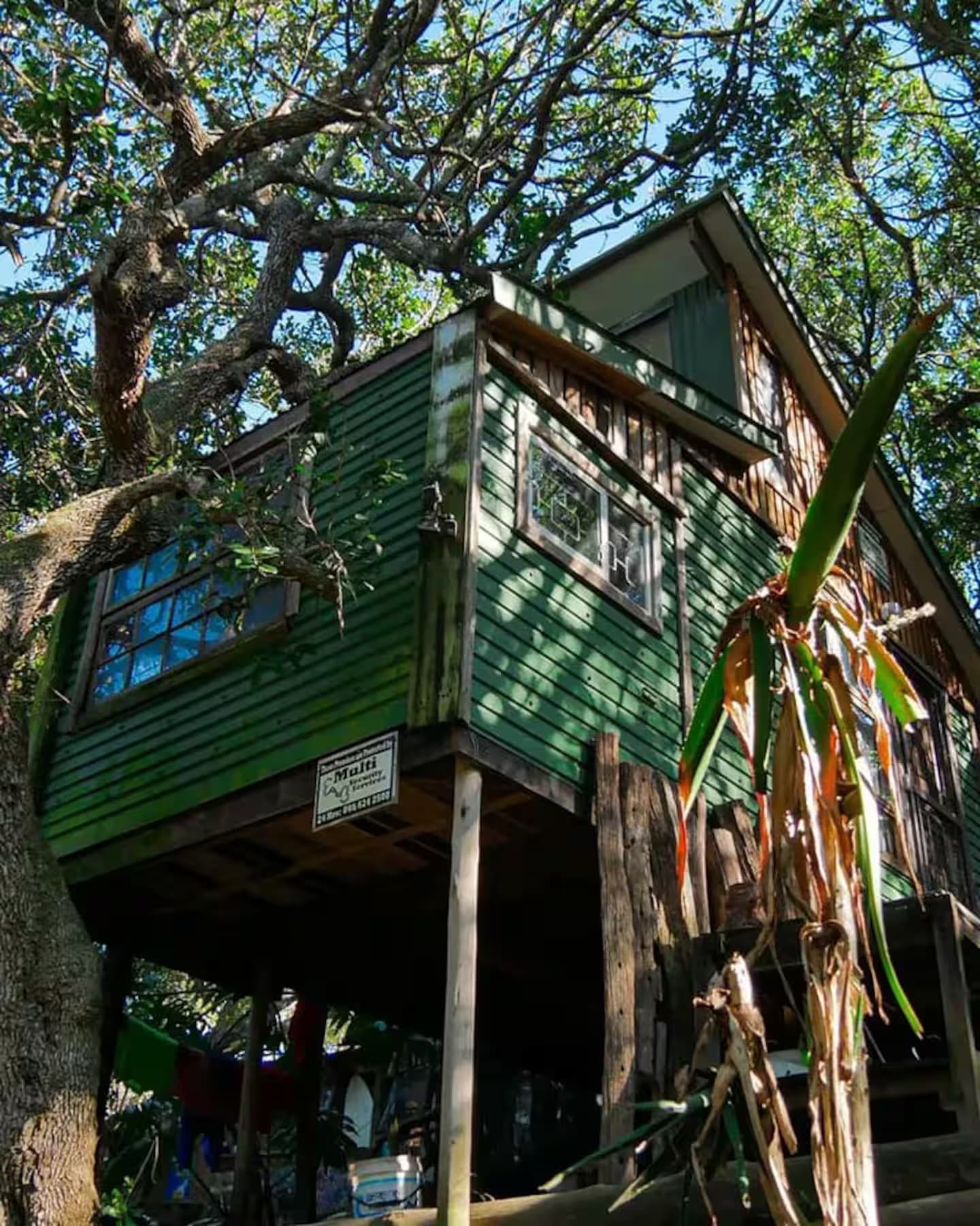 The treehouse lodge, built up into the branches