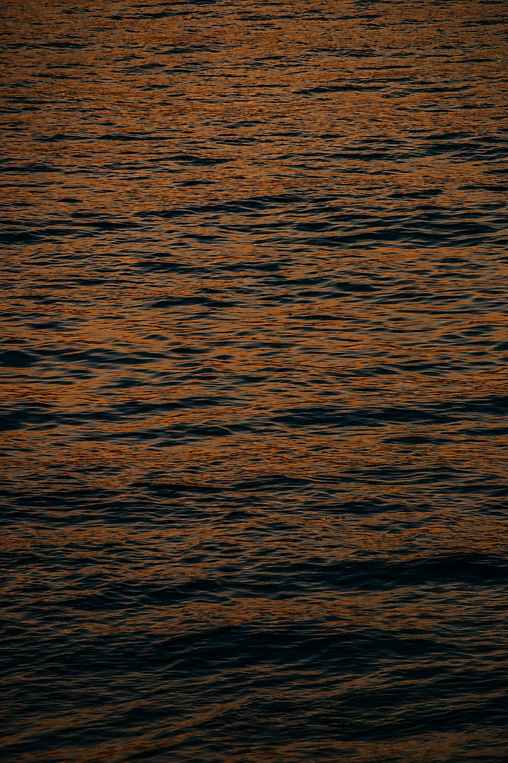 Warm golden ocean surface, atmospheric