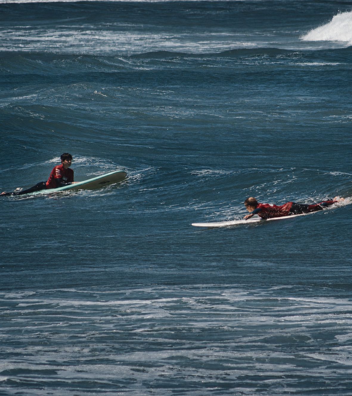 Two surfers paddling on longboards, wide ocean, community