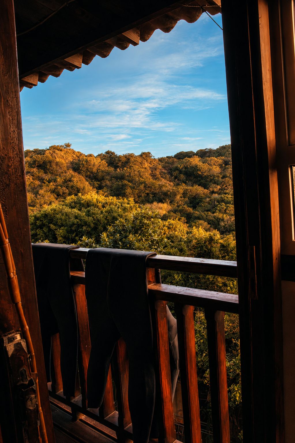 South African coastal forest balcony with wetsuit drying, warm light